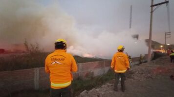 El incendio se desató en una finca privada a pocos metros de Pantanos de Villa, en Chorrillos. Hasta el lugar llegó el cuerpo de Bomberos.