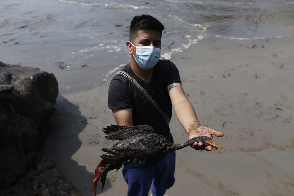 Repsol afirmó que “no ocasionó el desastre ecológico”