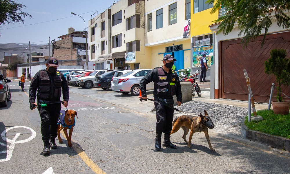 La Molina reporta menor incidencia de robos a nivel de Lima Metropolitana 