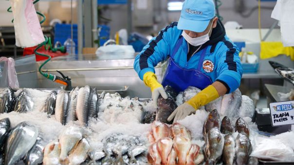 Precios de pescados se mantuvieron estables