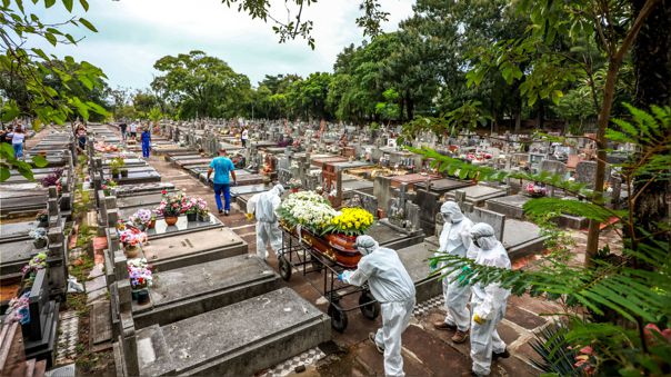 Brasil: 1 135 muertes por Covid-19 y 168 009 casos positivos en el último día