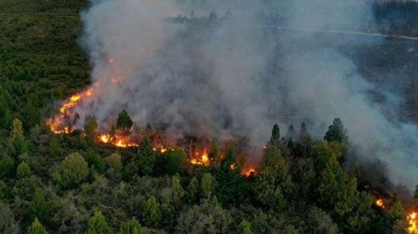 Argentina: Incendios forestales consumieron 519 000 hectáreas