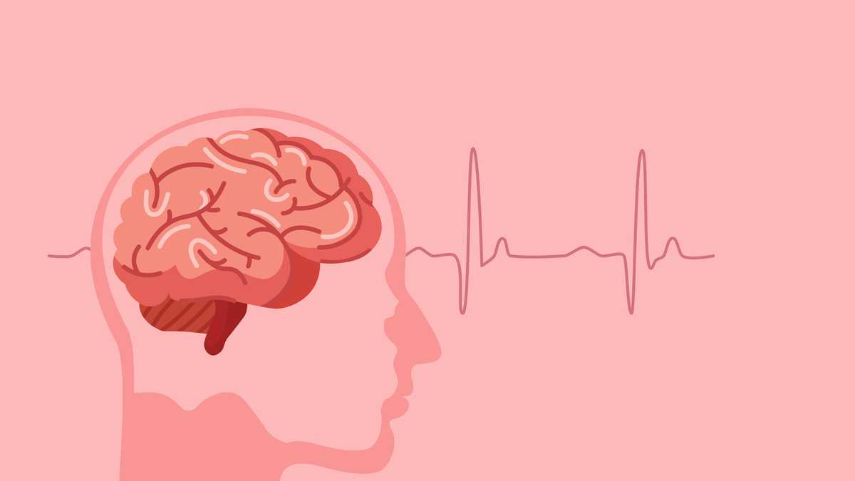 Se registra por primera vez lo que pasa en un cerebro antes de morir