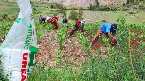 Ingreso de fertilizantes al Perú se reduce al mínimo