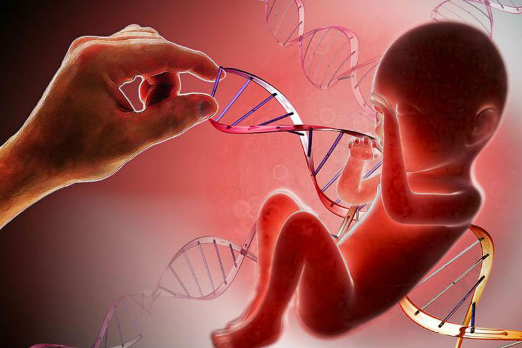 En 25 años llegarían los bebés modificados genéticamente