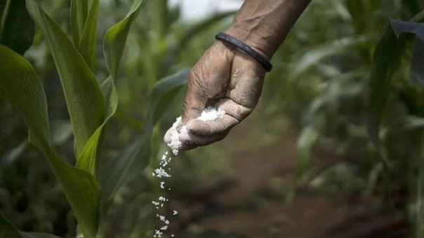 Precio de fertilizantes generará menor producción agrícola