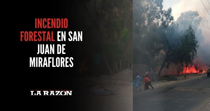 Incendio forestal en San Juan de Miraflores