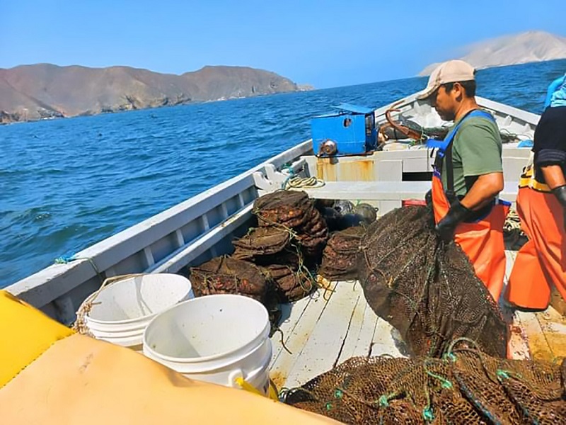Gobierno Promulga Ley Que Reconoce Pesca Artesanal Y Su Preservación Dentro De Las Cinco Millas 2035