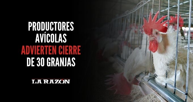 Productores avícolas advierten cierre de 30 granjas