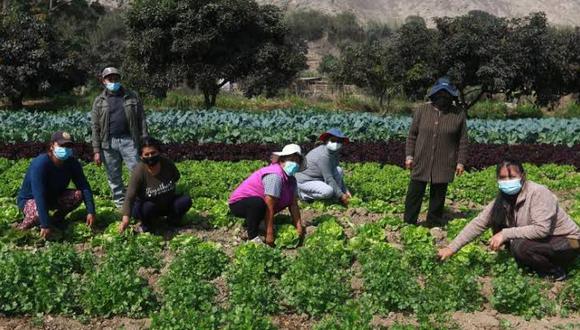 Midagri busca comprar fertilizantes de Venezuela, Bolivia y Marruecos