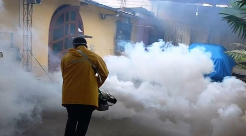 Zarumilla sufre brote de dengue y autoridades sanitarias se alarman