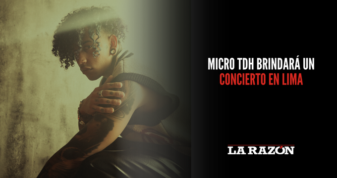 Micro TDH brindará un concierto en Lima
