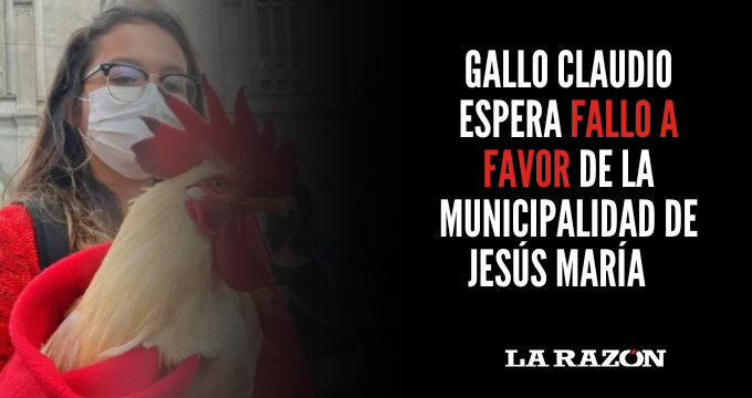 Gallo Claudio espera fallo a favor de la municipalidad de Jesús María
