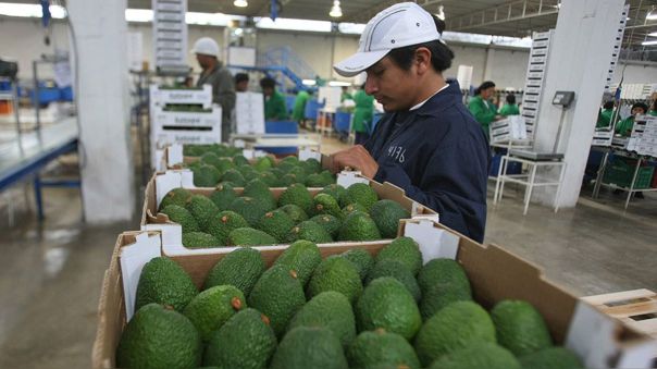 Perú lidera exportaciones no tradicionales