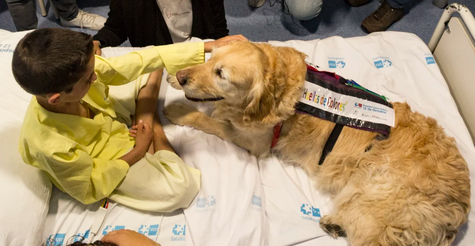 Hospital colombiano deja que mascotas visiten a pacientes