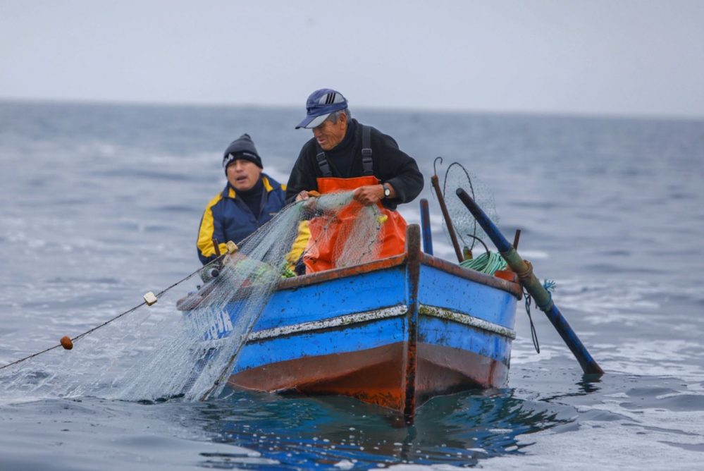 Viene ley de respeto irrestricto de 5 millas para pesca artesanal