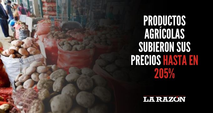 Productos agrícolas subieron sus precios hasta en 205%