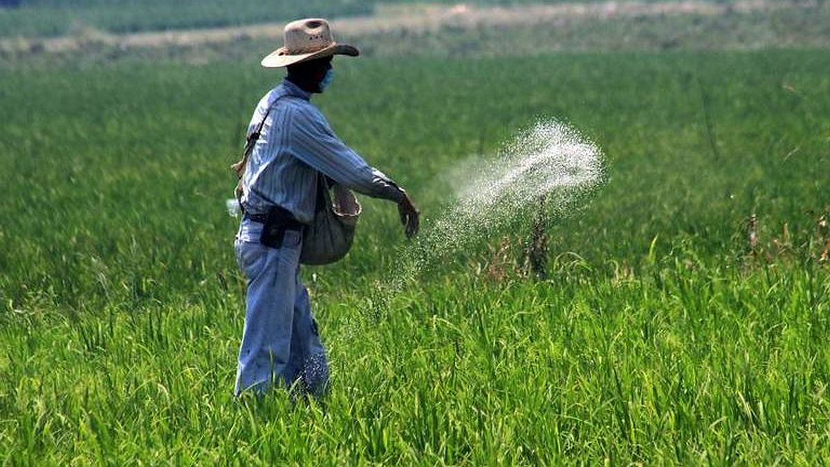 Fertilizantes llegarían recién para agosto