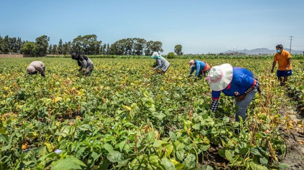 Gobierno amplía emergencia del agro a 167 días y anuncia créditos