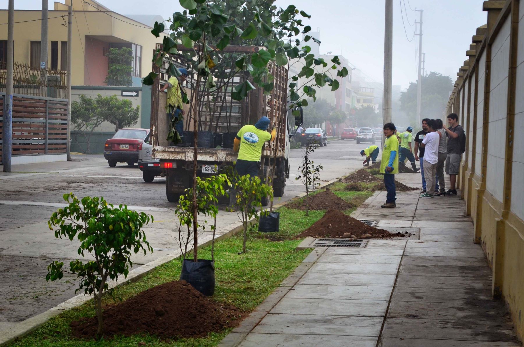Municipalidad de Magdalena planta más de 3500 árboles en 43 meses