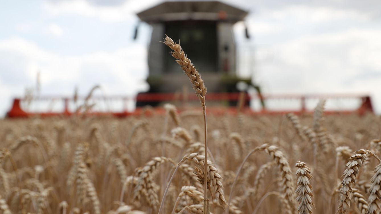 Ucrania y Rusia acordaron desbloquear exportación de cereales