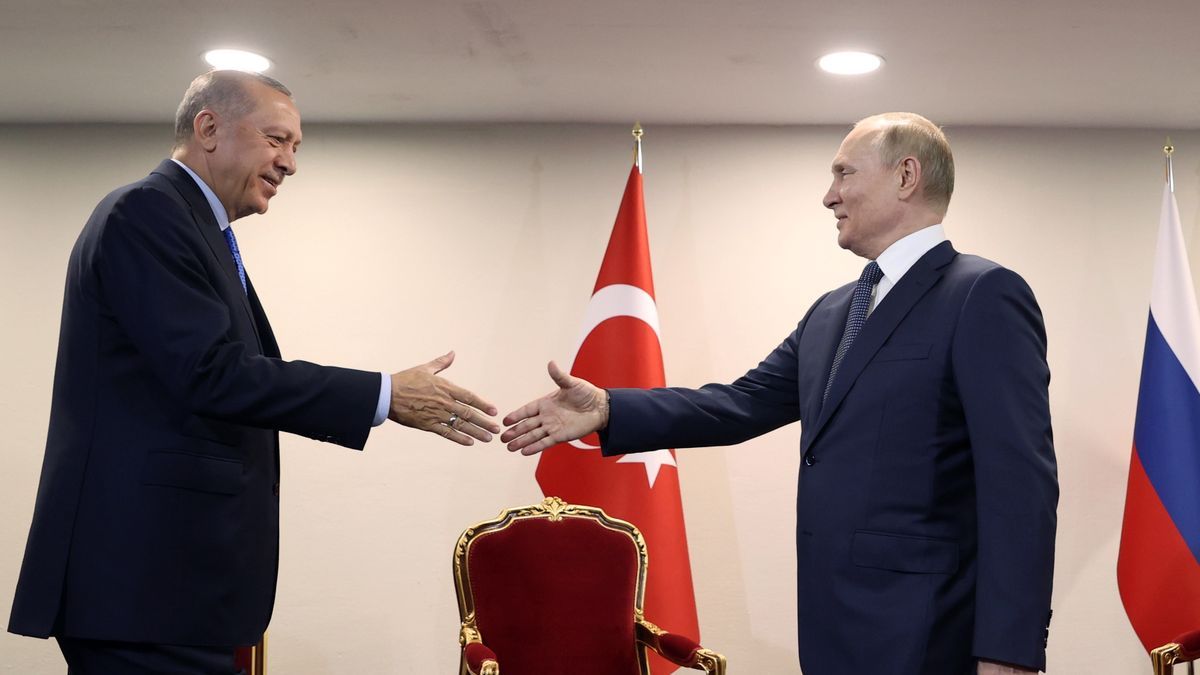 Vladimir Putin esperó 50 segundos a presidente turco