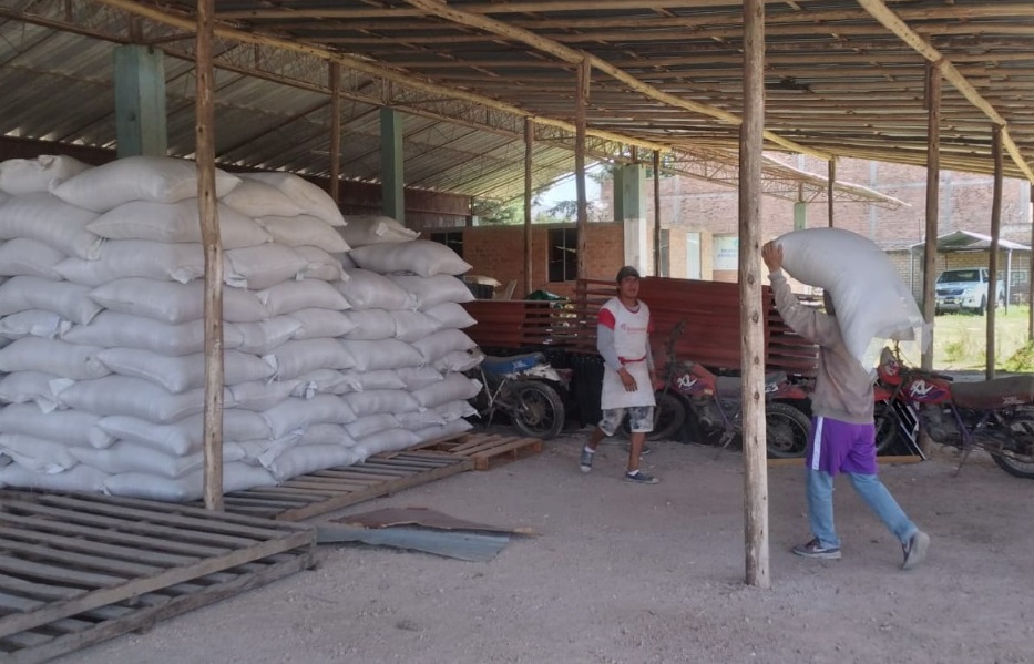 Cajamarca: Agro Rural impulsa mejora de cadena alimenticia de ganado por más de S/ 653,000
