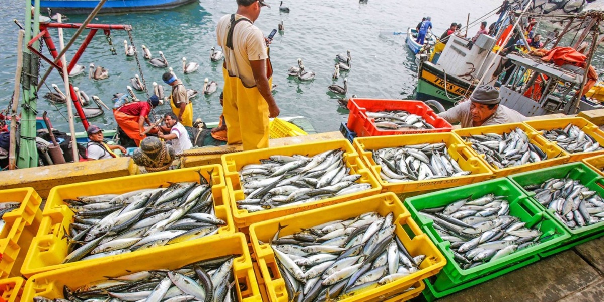 Otorgan subvenciones para pesca y acuicultura hasta por S/ 2.1 mlls.