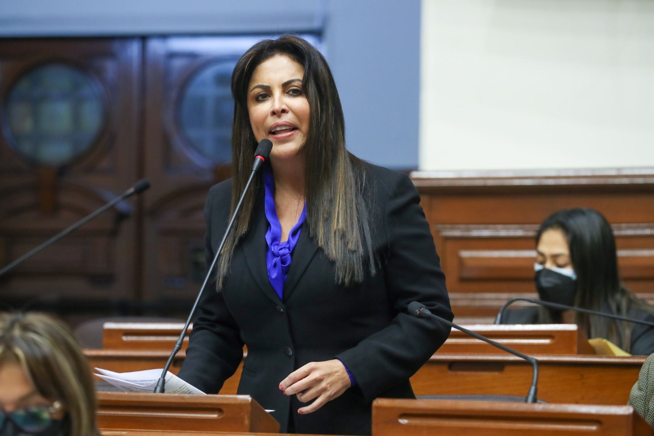 Patricia Chirinos impulsa interpelación contra ministros de Justicia y del Interior