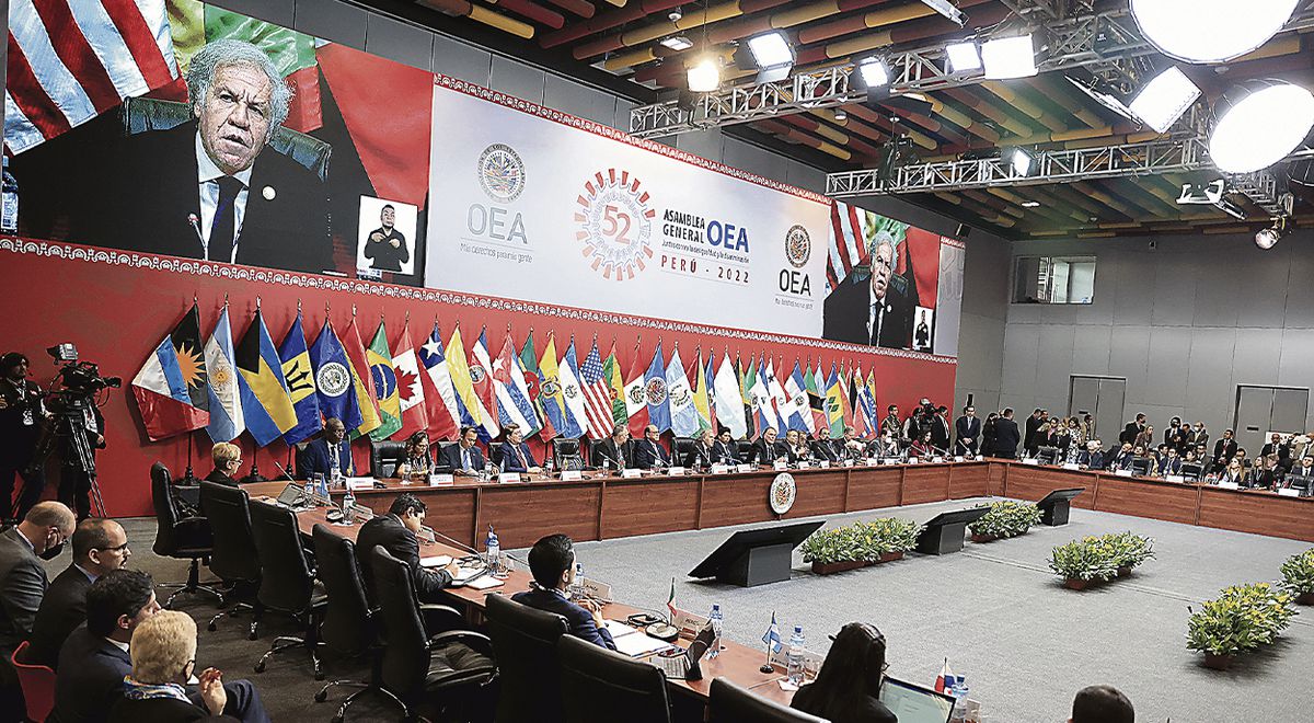 OEA designa a cinco cancilleres  como parte de su delegación