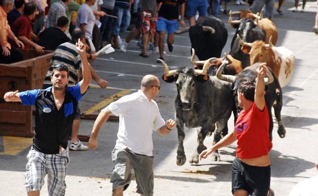 Novena víctima en la Comunitat en 2022 muere tras ser corneado por un toro en Castellón