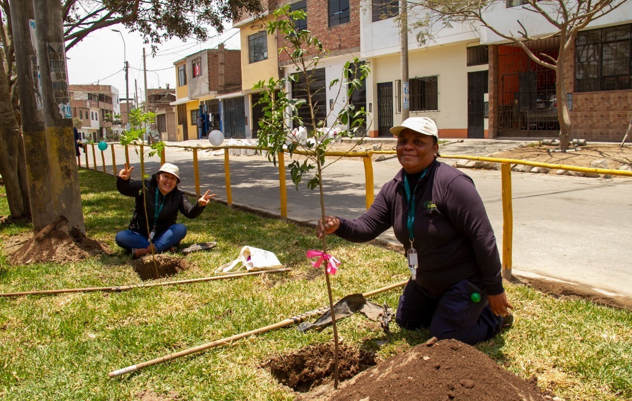SERPAR y la empresa privada plantan árboles en campaña “Parques de Lima” -  La Razón
