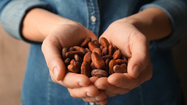 Gobierno aprobó Plan nacional para  relanzar el cacao y chocolate al 2030