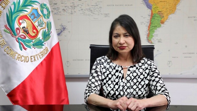 “Se dio a México expediente judicial de Lilia Paredes”