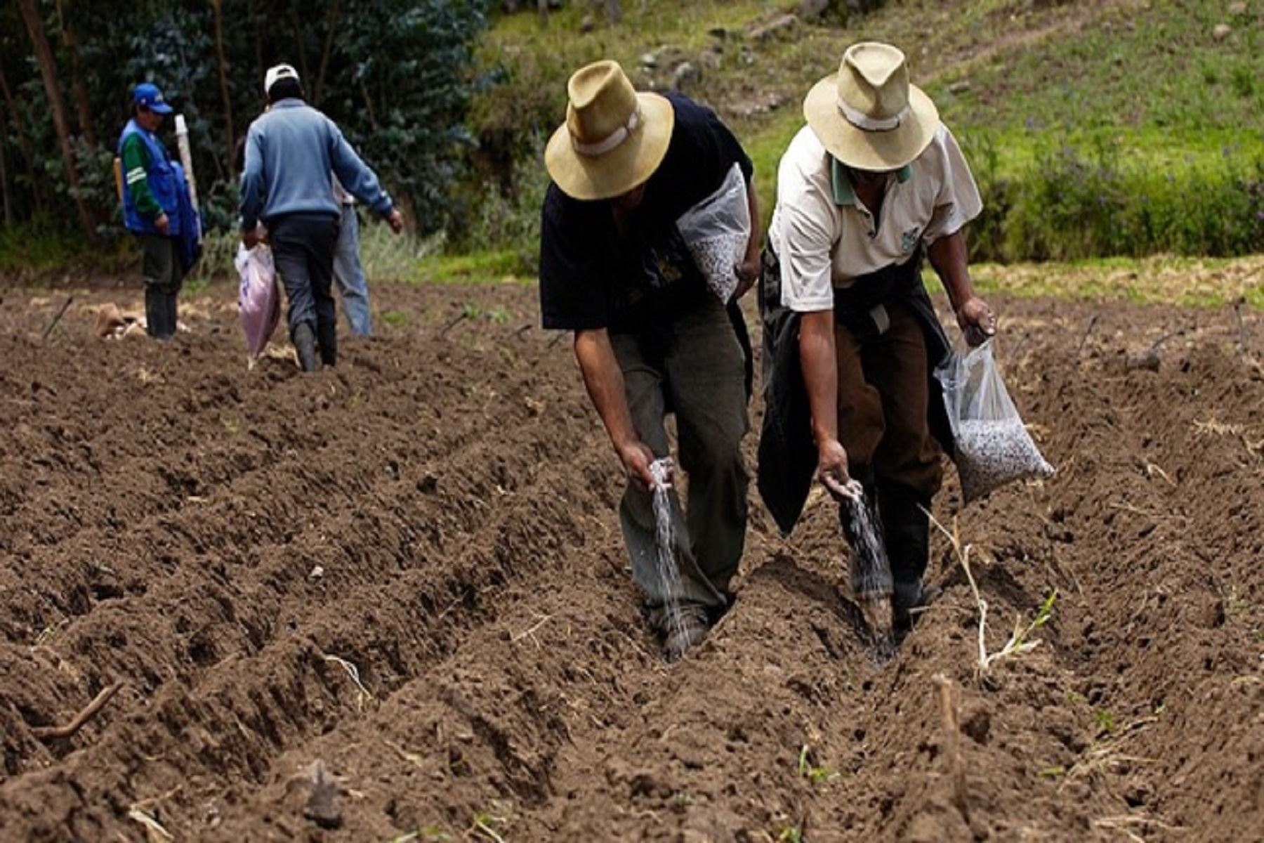 El gobierno destinará S/ 145 millones a pequeños productores