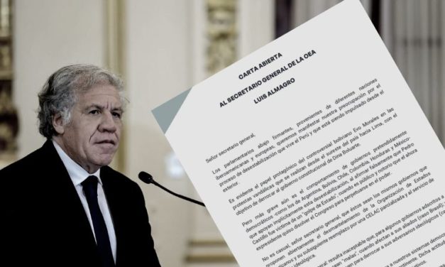 Más de 10 países acusan a la OEA de tener un plan desestabilizador en Perú.