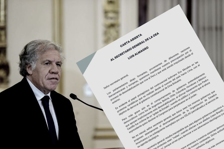 Más de 10 países acusan a la OEA de tener un plan desestabilizador en Perú.
