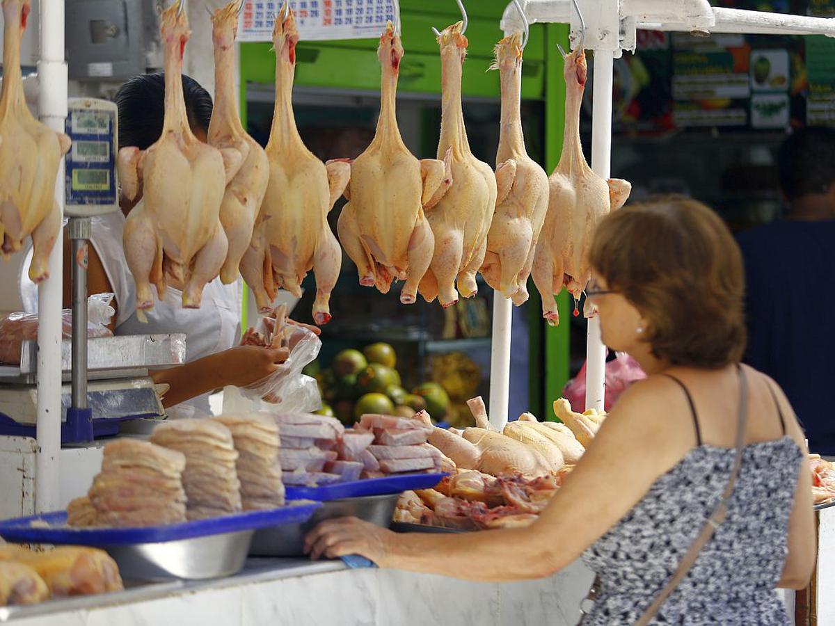 Sector avícola en crisis: Precio del pollo se eleva y genera alarma entre las amas de casa