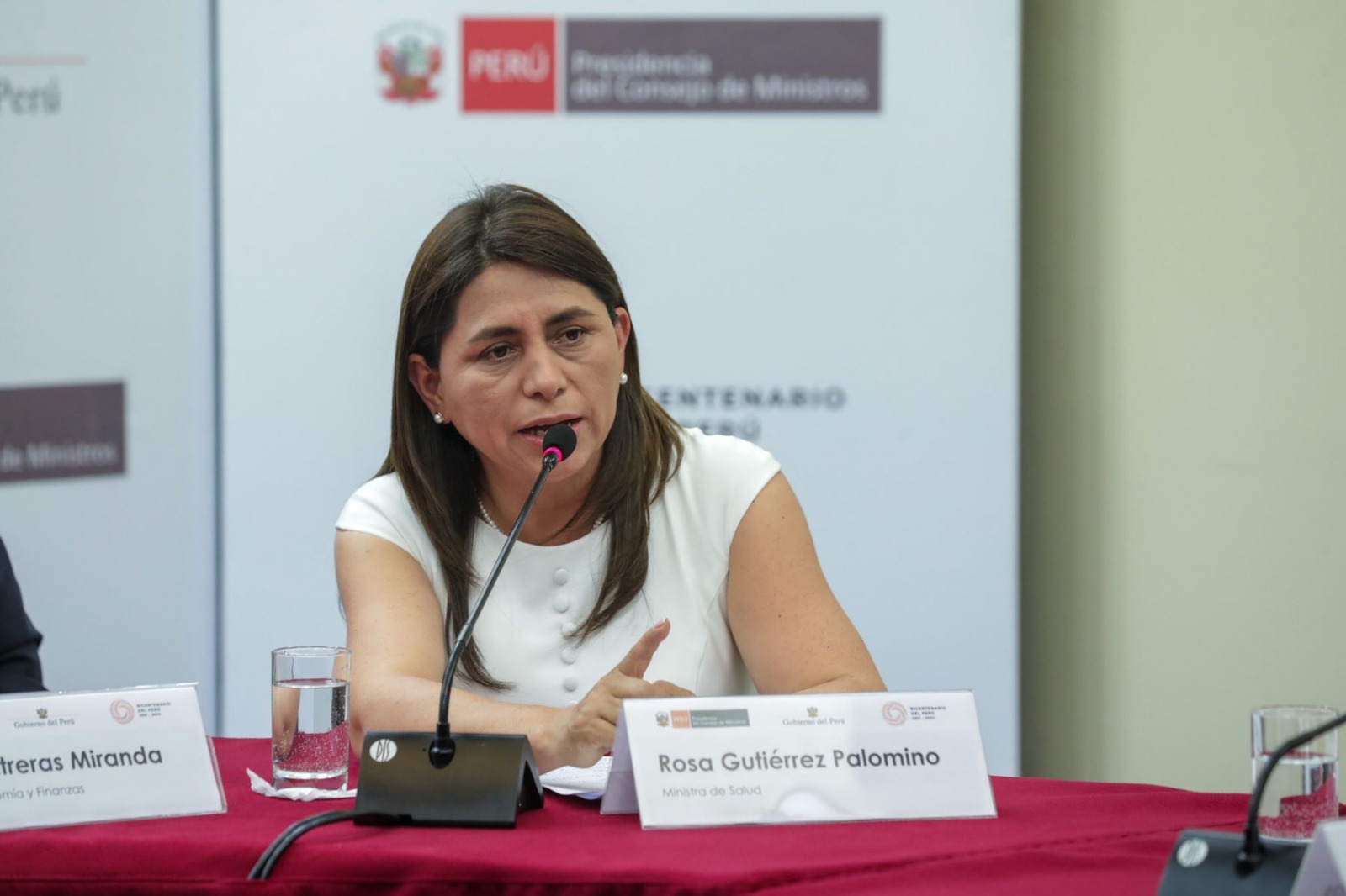 Ministra de Salud admite que perteneció a partido de Vizcarra