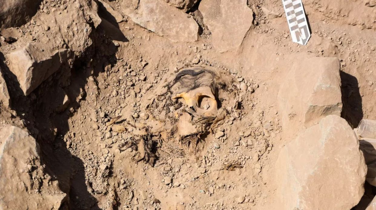 Momia de hace tres mil años es encontrada en huaca La Florida del Rímac