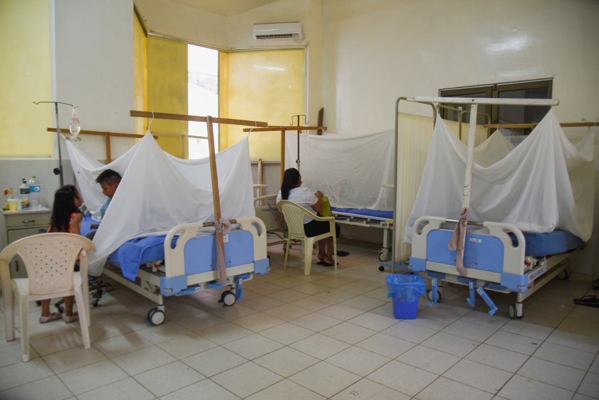 Contraloría alerta deficiencias en la lucha contra el dengue
