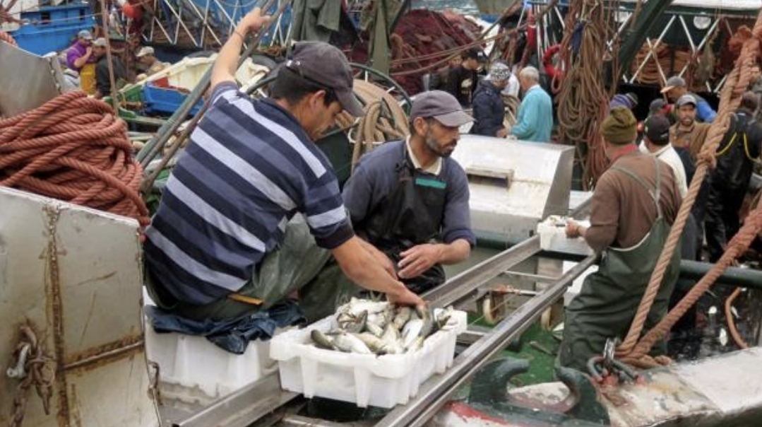 Marruecos y la UE reafirman su compromiso con la sostenibilidad de los recursos pesqueros 