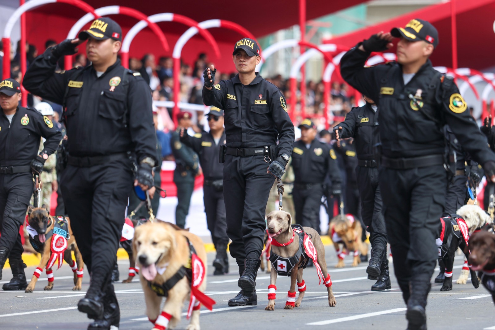 Perros de la Unidad Canina de PNP bailaron la marinera
