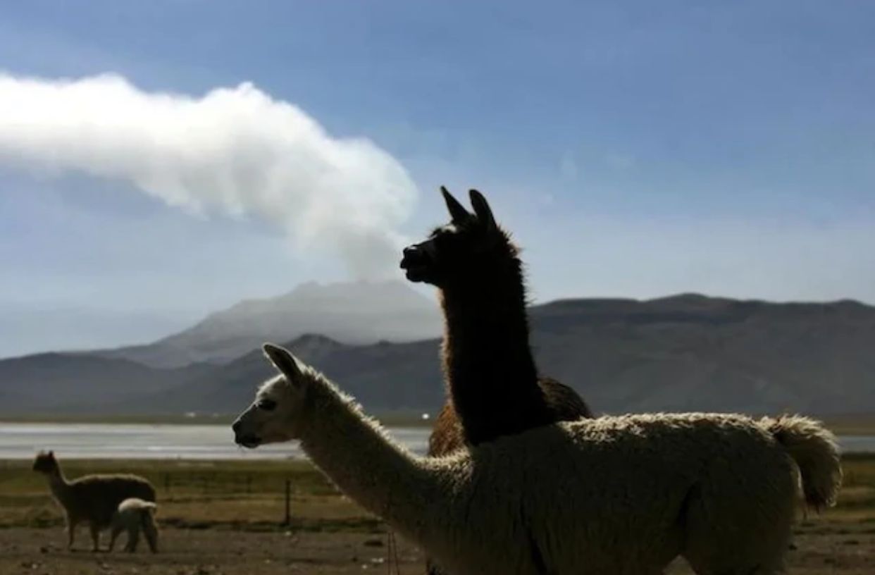 Humo y cenizas del volcán Ubinas llegan hasta Puno