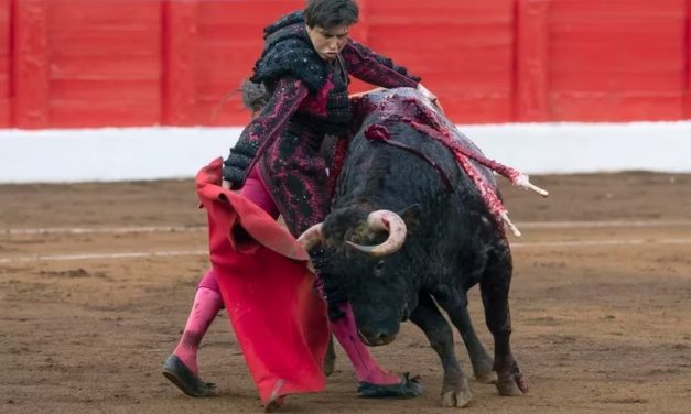 torero