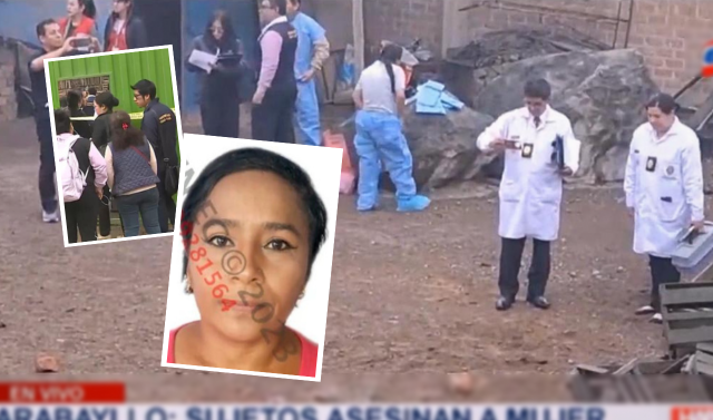 Carabayllo: Mujer muere apedreada por resistirse a presunta violación grupal