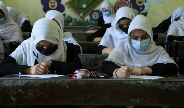 El régimen talibán permitirá que las mujeres estudien en universidades, pero con segregación por sexo en diferentes salones. (AFP)