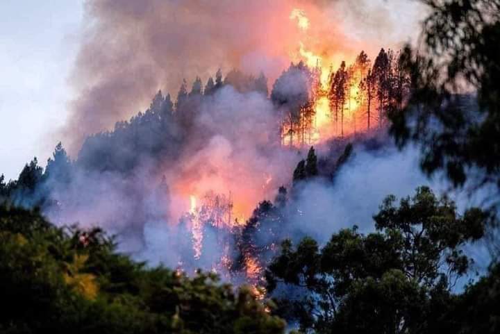 Apurímac: Número de víctimas aumenta a dos en incendio forestal. (Foto: Twitter).