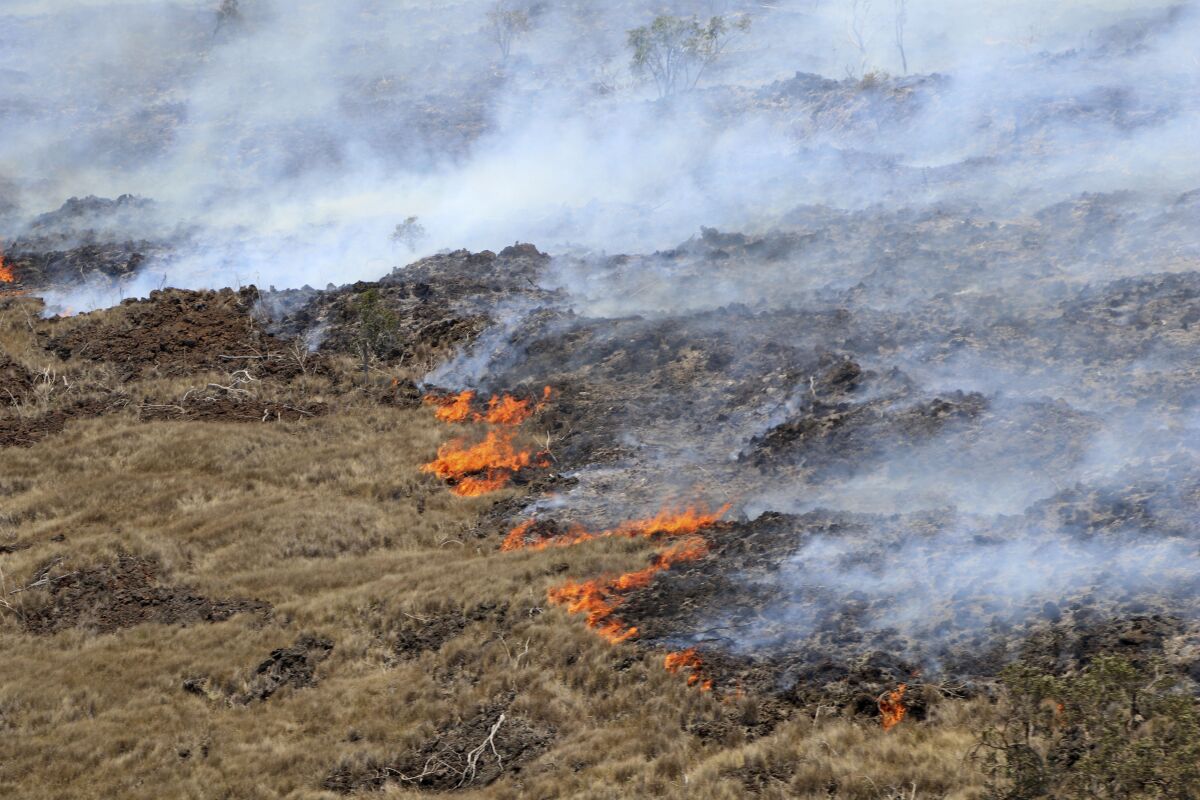 Hawaii: incendios dejan 36 muertos