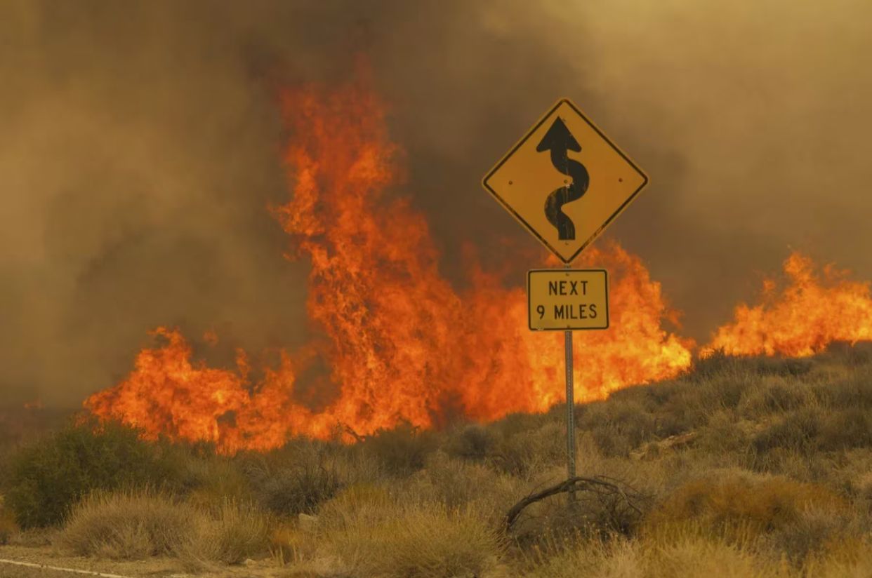 Incendios amenazan la Reserva Nacional de Mojave en California